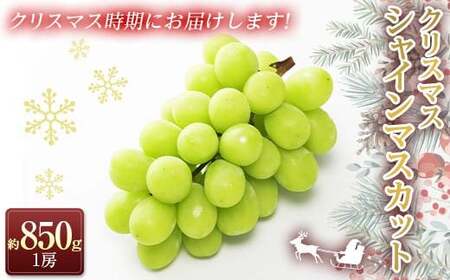 [令和6年産先行予約] クリスマス シャインマスカット 約850g以上 (1房 秀) [令和6年12月21日〜発送] 『フナヤマ農園』 山形県 南陽市 [2184]