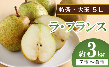 [令和6年産先行予約] 大玉ラ・フランス 約3kg (7〜8玉 特秀 5L) [令和6年10月中旬〜発送] 『生産者 沼澤 裕太』 ラフランス 西洋梨 洋なし 山形南陽産 山形県 南陽市 [2249]