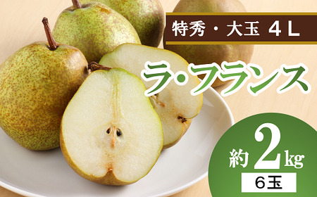 [令和6年産先行予約] 大玉ラ・フランス 約2kg (6玉 特秀 4L) [令和6年10月中旬〜発送] 『生産者 沼澤 裕太』 ラフランス 西洋梨 洋なし 果物 山形県 南陽市 [2250]