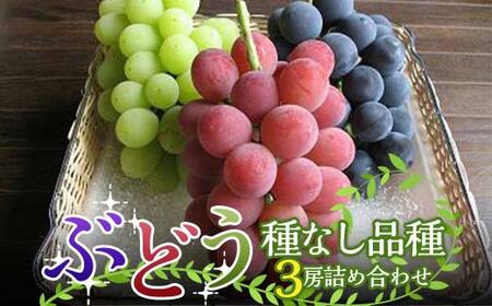 [令和7年産先行予約] 高級ぶどう 種なし品種 3房詰合せ [令和7年9月中旬〜発送] 『漆山果樹園』 葡萄 ぶどう ブドウ 種なし 新鮮 果物 フルーツ デザート 山形県 南陽市 [1520]