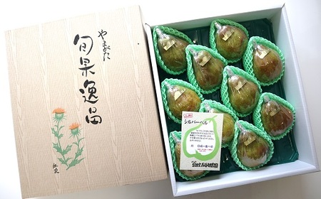 �y�ߘa7�N�Y��s�\��z ��� �V���o�[�x�� ��5kg (8�`10�� ���G) �s�ߘa7�N12�����{�`�����t �w���J���_���x �m�� �ʕ� �t���[�c �Y�n���� ���Y�_�ƒ��� �R�`�� ��z�s [1161]