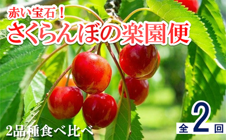 [令和7年産先行予約] [定期便2回] 赤い宝石!さくらんぼの楽園便 「佐藤錦・紅秀峰」 各約1kg (500g×2パック 秀 L以上) 『フードシステムズ』 山形県 南陽市 [894]