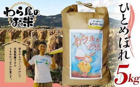 [わら屋のお米] 令和7年産 特別栽培米 ひとめぼれ 5kg 『おがわ藁農園』 米 白米 精米 ご飯 農家直送 山形県 南陽市 [2070]