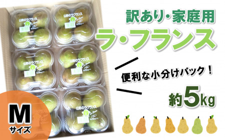 [令和7年産先行予約][訳あり品 家庭用] ラ・フランス 約5kg (4玉×6パック Mサイズ) [令和7年11月上旬〜発送] 『田口農園』 ラフランス 洋なし 山形県 南陽市 [1294-R7]