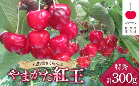 [令和7年産先行予約] JA さくらんぼ 「やまがた紅王」 約300g (約100g×3パック 特秀 3L以上) バラ詰め [令和7年6月下旬〜発送] 『JA山形おきたま』 サクランボ 果物 フルーツ 山形県 南陽市 [2142]