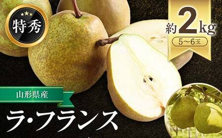 [令和7年産先行予約] JA ラ・フランス 約2kg (5〜6玉 特秀) [令和7年11月上旬〜12月上旬発送] 『JA山形おきたま』 洋梨 果物 フルーツ 山形県 南陽市 [1159-R7]