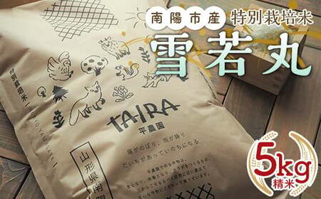 令和7年産 特別栽培米 雪若丸 5kg 『平農園』 山形南陽産 米 白米 精米 ご飯 農家直送 山形県 南陽市 [1949]