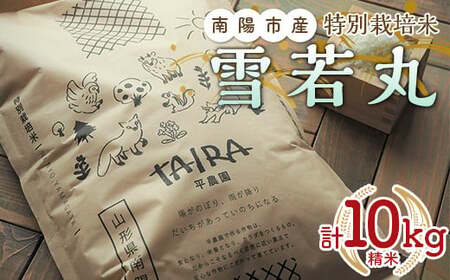 �ߘa7�N�Y ���ʍ͔|�� ���� �v10kg (5kg×2��) �w���_���x �R�`��z�Y �� ���� ���� ���� �_�ƒ��� �R�`�� ��z�s [2039]