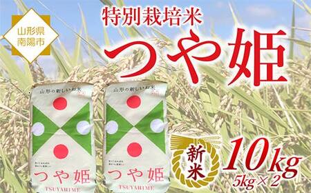 先行予約】新米 米 10kg 5kg×2 つや姫 精米 令和7年産 2025年産