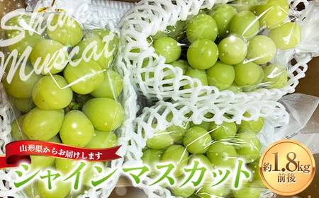 [令和7年産先行予約] シャインマスカット 1.8kg前後 (3〜4房入り) [令和7年9月下旬〜発送] 『きらめきぶどう園』 マスカット ぶどう 果物 山形南陽産 山形県 南陽市 [858]