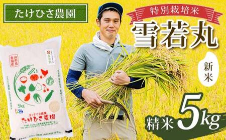 [令和7年産 新米 先行予約] 特別栽培米 雪若丸 (精米) 5kg [令和7年9月下旬〜発送] 『たけひさ農園』 山形南陽産 米 白米 ご飯 農家直送 山形県 南陽市 [2365-R7]