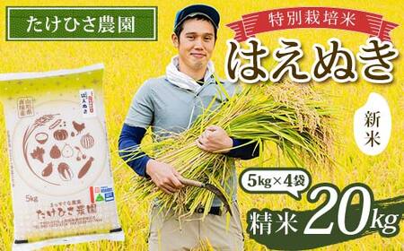 [令和7年産 新米 先行予約] 特別栽培米 はえぬき (精米) 20kg (5kg×4袋) [令和7年9月下旬〜発送] 『たけひさ農園』 山形南陽産 米 白米 山形県 南陽市 [2374-R7]