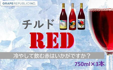グレリパ チルドレッド 3本セット 750ml × 3本 『(株)グレープリパブリック』 赤ワイン 山形県 南陽市 [2338]
