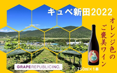 [数量限定] オレンジワイン「キュベ新田2022」 750ml × 1本 『(株)グレープリパブリック』 山形県 南陽市 [2361]
