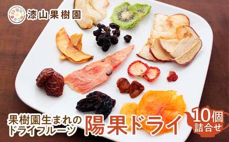 果樹園生まれの ドライフルーツ 「陽果ドライ」 10個詰合せ (枝付き干しぶどう入り) 『漆山果樹園』 デラウェア シャインマスカット 山形県 南陽市 [2419]