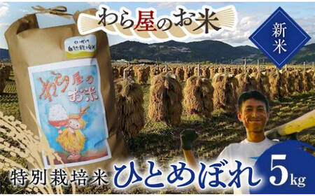 [令和7年産 新米 先行予約] [わら屋のお米] 特別栽培米 ひとめぼれ 5kg [令和7年10月下旬〜発送] 『おがわ藁農園』 米 白米 精米 ご飯 農家直送 山形県 南陽市 [2070-R7]