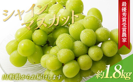 [令和8年産先行予約] [山形県ぶどう品評会 最優秀賞受賞農家] シャインマスカット 約1.8kg (3房入り 秀) [令和8年9月中旬〜発送] 『青木農園』 山形県 南陽市 [2027-R8]