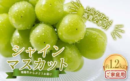 yߘa8NYs\zqƒpr VC}XJbg 1.2kg (2`3[) sߘa8N10{`t w_x R` zs [1914-R8]
