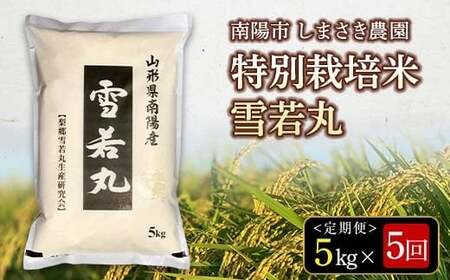 yĐHRN[܎ܔ_z s5t ߘa7NY ʍ͔|  5kg×5 sߘa8N3`7t w܂_x R` zs [2602]