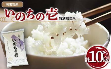 y܎ܔ_Ɓz ߘa7NY ʍ͔| ̂̈ v10kg (5kg×2) wCXt@[x R`zY     _ƒ R` zs [2403]