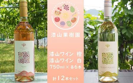 果樹園生まれの 漆山果樹園ワイン 「漆山ワイン (デラウェア)」 「漆山ワイン (シャインマスカット×ロザリオビアンコ)」 750ml 各6本 計12本セット 『漆山果樹園』 オレンジワイン 白ワイン 山形県 南陽市 [2615]