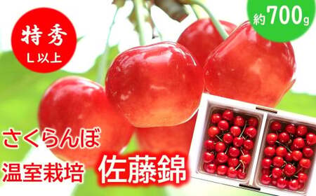 �y�ߘa8�N�Y��s�\��z ������������ �u�����сv ��700g (���G L�ȏ�) �o���p�b�N�l�� �s�ߘa8�N5�����{�`�����t �w���c�ό��ʎ����x �T�N�����{ ���Y�_�ƒ��� �����͔| �ʕ� �t���[�c �f�U