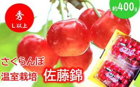 �y�ߘa8�N�Y��s�\��z ������������ �u�����сv ��400g (�G L�ȏ�) �t�[�h�p�b�N�l�� �s�ߘa8�N5�����{�`�����t �w���c�ό��ʎ����x �T�N�����{ ���Y�_�ƒ��� �����͔| �ʕ� �t���[�c �f�U