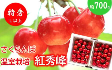 �y�ߘa8�N�Y��s�\��z ������������ �u�g�G��v ��700g (���G L�ȏ�) �o���p�b�N�l�� �s�ߘa8�N5�����{�`�����t �w���c�ό��ʎ����x �T�N�����{ ���Y�_�ƒ��� �����͔| �ʕ� �t���[�c �f�U