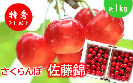 �y�ߘa8�N�Y��s�\��z �������� �u�����сv ��1kg (���G 2L�ȏ�) �o���p�b�N�l�� �s�ߘa8�N6����{�`�����t �w���c�ό��ʎ����x �T�N�����{ ���Y�_�ƒ��� �ʕ� �t���[�c �f�U�[�g ��s�\��