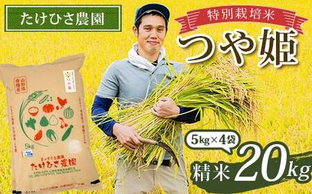 �ߘa7�N�Y ���ʍ͔|�� ��P (����) 20kg (5kg×4��) �w�����Ђ��_���x �R�`��z�Y �� ���� ���� �_�ƒ��� �R�`�� ��z�s [2363]