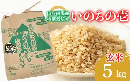 [金賞受賞農家] 令和7年産 特別栽培米 いのちの壱 (玄米) 5kg 『あおきライスファーム』 山形南陽産 米 ご飯 農家直送 山形県 南陽市 [2639]