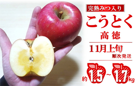 [令和8年産先行予約] 完熟みつ入り こうとく(高徳) 約1.5〜1.7kg (6〜9玉) [令和8年11月上旬〜発送] [全国りんご選手権 銀賞] 『船中農園』フードパック 林檎 りんご リンゴ 山形県 南陽市 [2666]