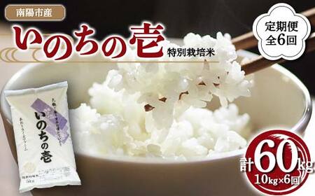 [金賞受賞農家] [定期便6回] 令和7年産 特別栽培米 いのちの壱 計10kg(5kg×2袋)×6か月 『あおきライスファーム』 山形南陽産 米 白米 精米 ご飯 山形県 南陽市 [2669]