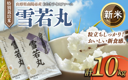 [令和8年産 新米 先行予約] [金賞受賞農家] 特別栽培米 雪若丸 計10kg (5kg×2袋) [令和8年9月下旬〜発送] 『あおきライスファーム』 [2407-R8]