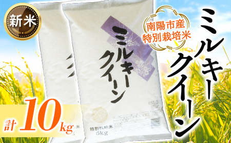 [令和8年産 新米 先行予約] [金賞受賞農家] 特別栽培米 ミルキークイーン 計10kg (5kg×2袋) [令和8年9月下旬〜発送] 『あおきライスファーム』 [2409-R8]