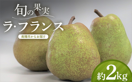 [令和8年産先行予約] 十三代目 佐藤市右衛門 ラ・フランス 約2kg (6〜8玉 秀 2〜4L) [令和8年11月上旬〜発送] 『旬の果実 佐藤市右衛門農園』 ラフランス 西洋梨 洋なし 果物 フルーツ デザート 山形県 南陽市 [1967]