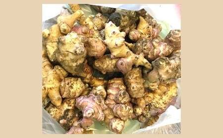  e 2kg sߘa7N11{`t wRʎx R` zs [852]