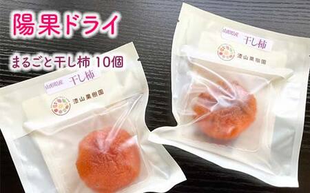 果樹園生まれの 常温乾燥機で作る 「陽果ドライ まるごと干し柿」 10個 [令和7年12月上旬〜発送] 『漆山果樹園』 山形県 南陽市 [853]