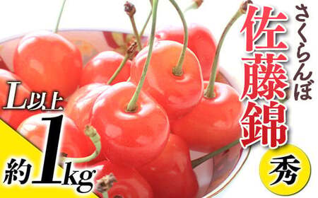 yߘa8NYs\z  uсv 1kg (G Lȏ) ol sߘa8N6{`t wY҂܂x TN{ ʕ t[c Yn R` zs [881]