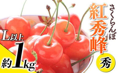 [令和7年産先行予約] さくらんぼ 「紅秀峰」 約1kg (秀 L以上) バラ詰め [令和7年6月下旬〜発送] 『生産者おまかせ』 サクランボ 果物 フルーツ 産地直送 山形県 南陽市 [887]