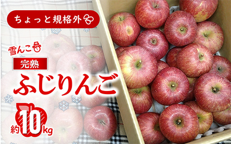 q󂠂 ƋKiOr  nӂ 10kg sߘa8N1{`t yS񂲑I茠 ܁z wD_x R` zs [1405]