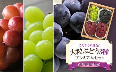 yߘa8NYs\z 嗱Ԃǂ3v~AZbg 4[ sߘa8N9{`t w؂Ԃǂx  uhE ʕ t[c fU[g Hה R` zs [676]