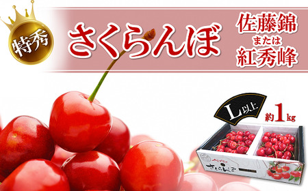 [令和7年産先行予約] さくらんぼ「佐藤錦または紅秀峰」 約1kg (特秀 L以上) [令和7年6月中旬〜発送] 『マルエ青果』 先行予約 サクランボ 果物 フルーツ 山形県 南陽市 [1115]