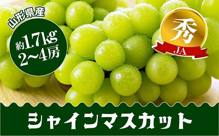 [令和7年産先行予約] JA シャインマスカット 約1.7kg (2〜4房 秀) [令和7年9月下旬〜発送] 『JA山形おきたま』 山形県 南陽市 [715]
