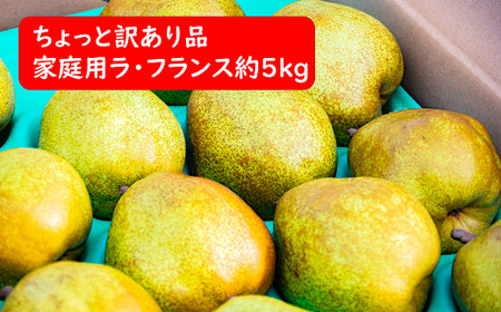 【令和6年産先行予約】 〈訳あり品 家庭用〉 ちょっと訳あり ラ・フランス 約5kg (14～18玉 2～4L) 《令和6年11月～発送》 『たけひさ農園』 ラフランス 西洋梨 洋なし 果物 フルーツ デザート 山形県 南陽市 [1089]