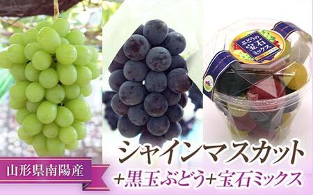 [令和7年産先行予約] シャインマスカット + 黒玉ぶどう + 宝石ミックス [令和7年9月中旬〜発送] 『漆山果樹園』 マスカット 葡萄 ぶどう ブドウ 果物 フルーツ 山形県 南陽市 [663]