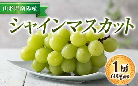 [令和7年産先行予約] シャインマスカット 600g前後 (1房) [令和7年9月中旬〜発送] 『漆山果樹園』 マスカット 葡萄 ぶどう ブドウ 種なし 果物 フルーツ 山形県 南陽市 [811]