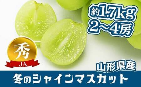 【令和6年産先行予約】 JA 冬のシャインマスカット 約1.7kg (2～4房 秀) 《令和6年12月中旬～下旬発送》 『JA山形おきたま』 山形県 南陽市 [821]