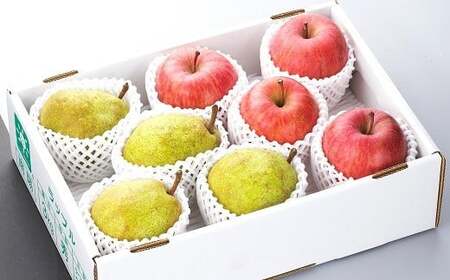 [令和8年産先行予約] JA ラ・フランス と ふじリンゴ の詰合せ 計約4kg [令和8年11月中旬〜12月上旬発送] 『JA山形おきたま』 山形県 南陽市 [716-R8]