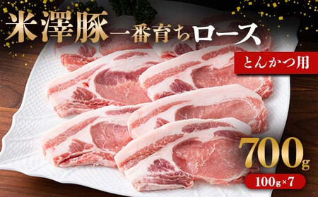 V؈Ԉ炿 [X Ƃ񂩂p 700g (100g×7) uh ؓ đ đ R` zs [1856]